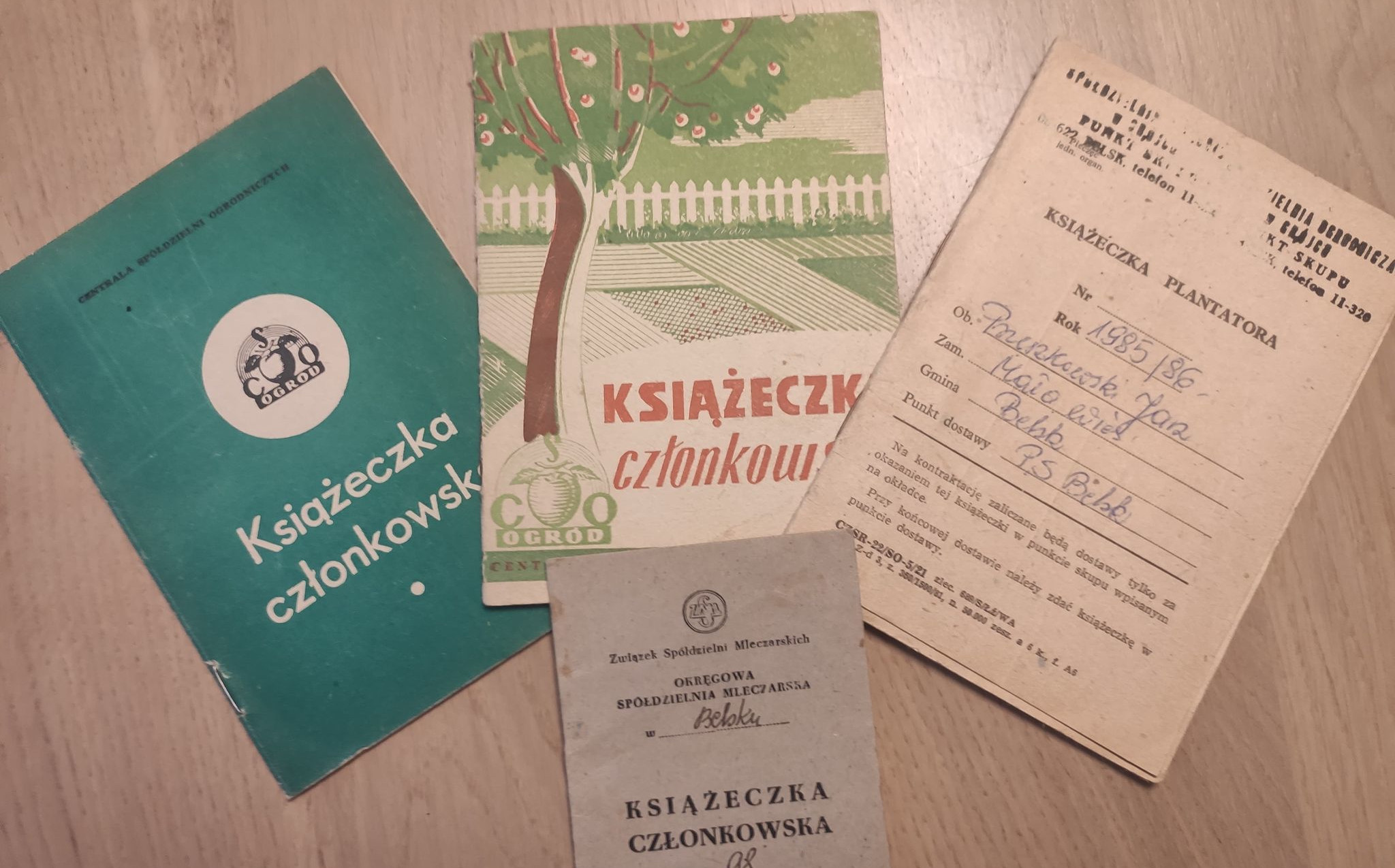 Czy my, sadownicy, kiedykolwiek nauczymy się działać wspólnie?