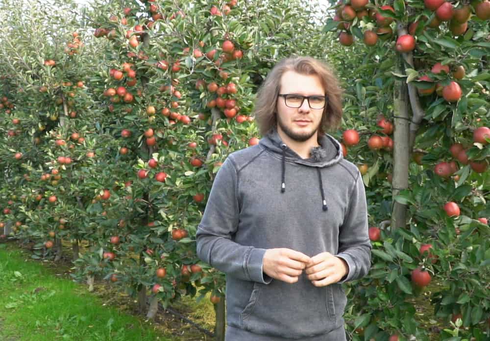 Braeburn – jak znana na całym świecie odmiana radzi sobie w Polsce?