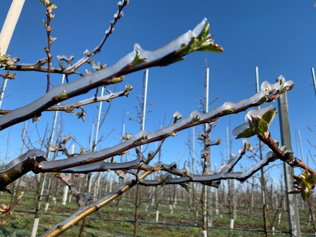 Weekend pod znakiem przymrozków 