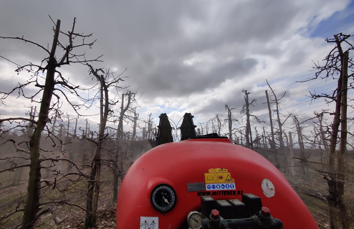 Bezpieczne stosowanie środków ochrony roślin 