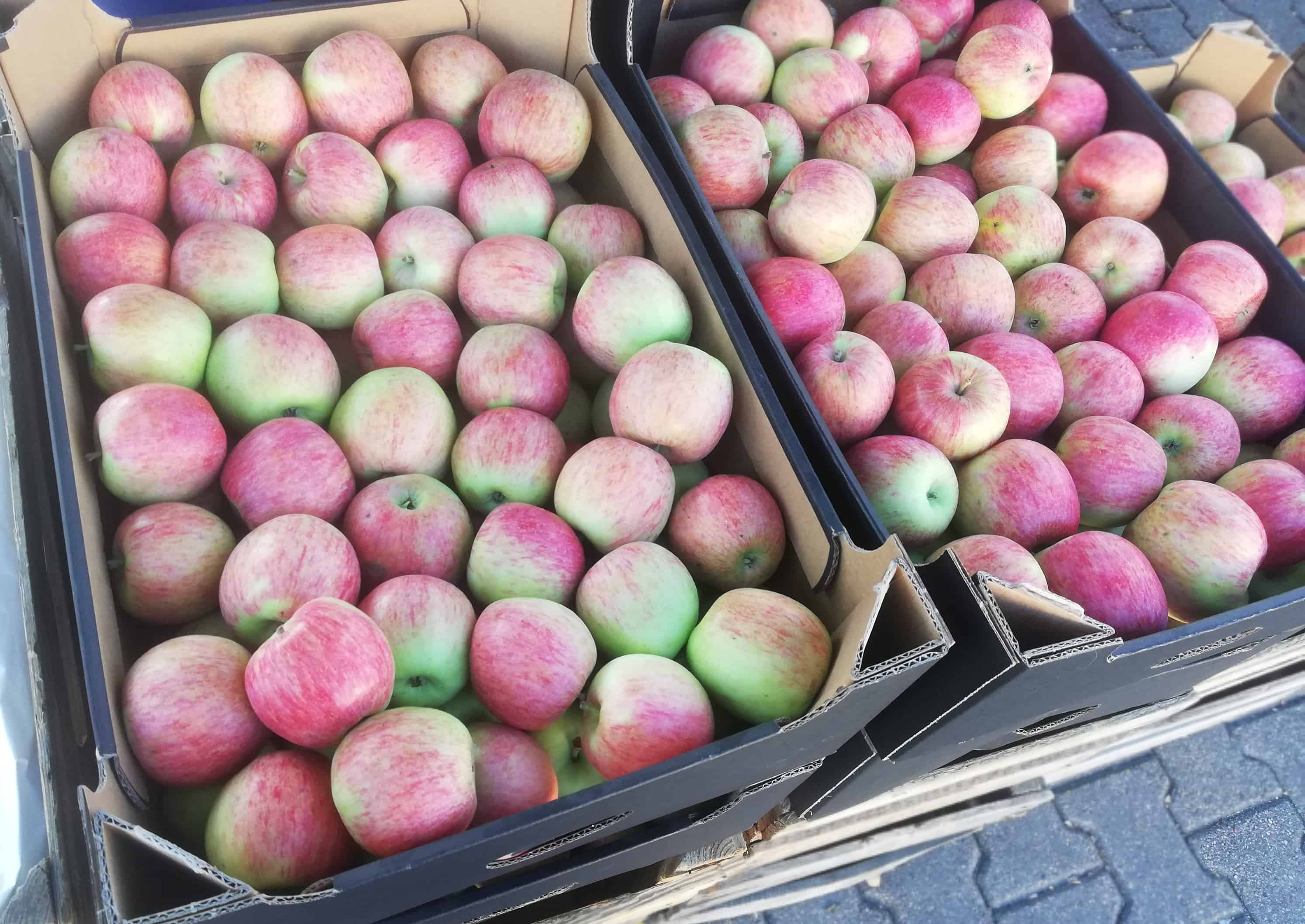 Aktualne ceny na Broniszach [11.08.2020]