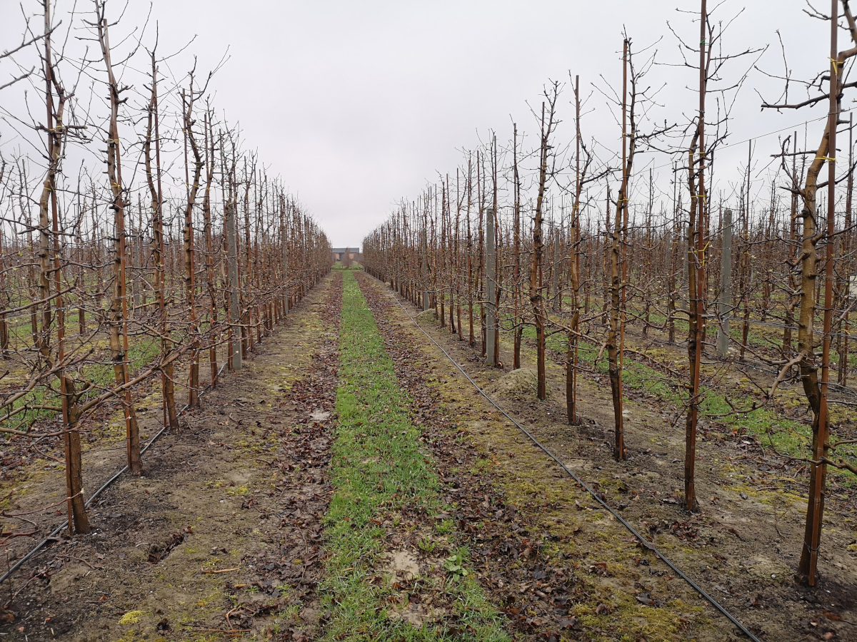Prognoza pogody na najbliższy tydzień