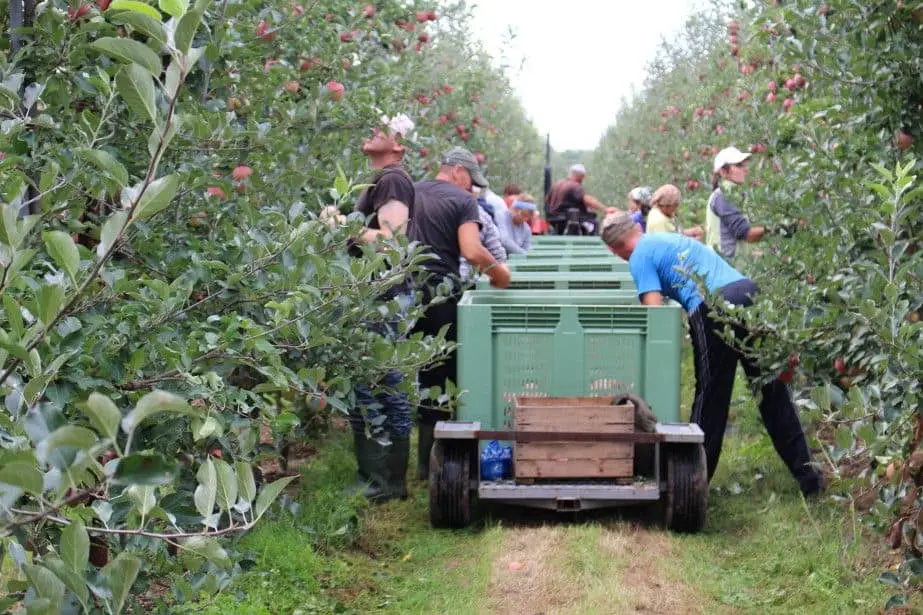 Ukraina wprowadza kwarantannę dla osób przyjeżdżających z Polski