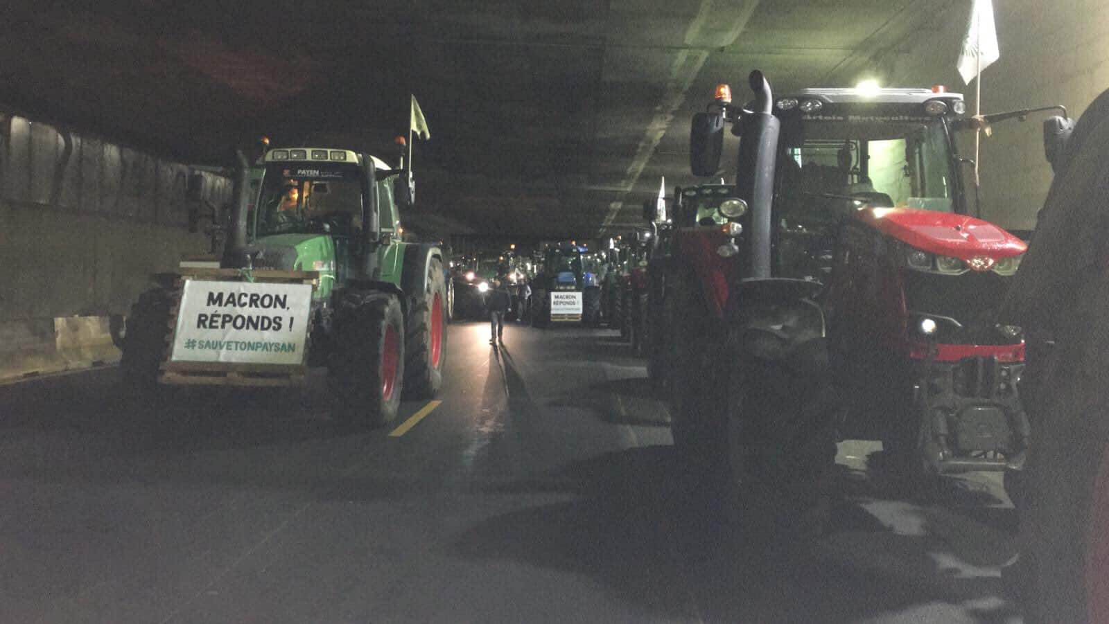 Francuscy rolnicy protestują przeciwko polityce rolnej UE