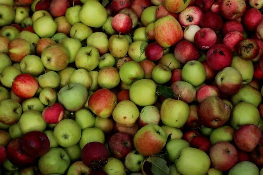 Rośnie cena jabłek i gruszek z przerywki