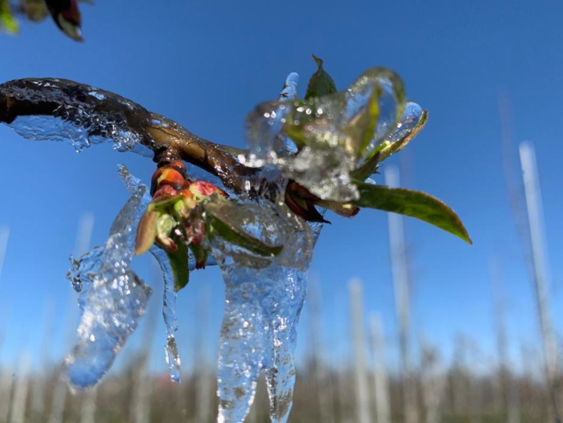 „Już wiadomo, że zbiory będą niższe, a ceny wyższe”
