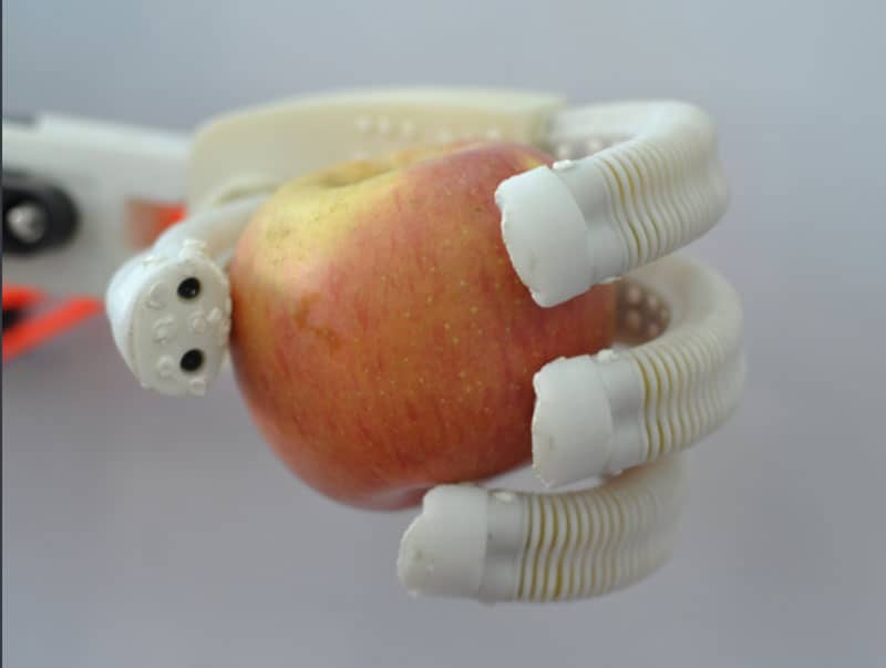 Roboty zbierające jabłka ramię w ramię z człowiekiem 