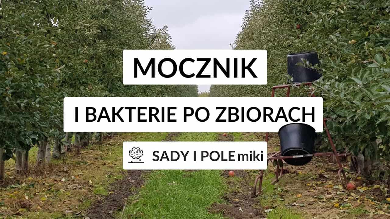 SADY i POLEmiki odc 59 - Mocznik i bakterie po zbiorach