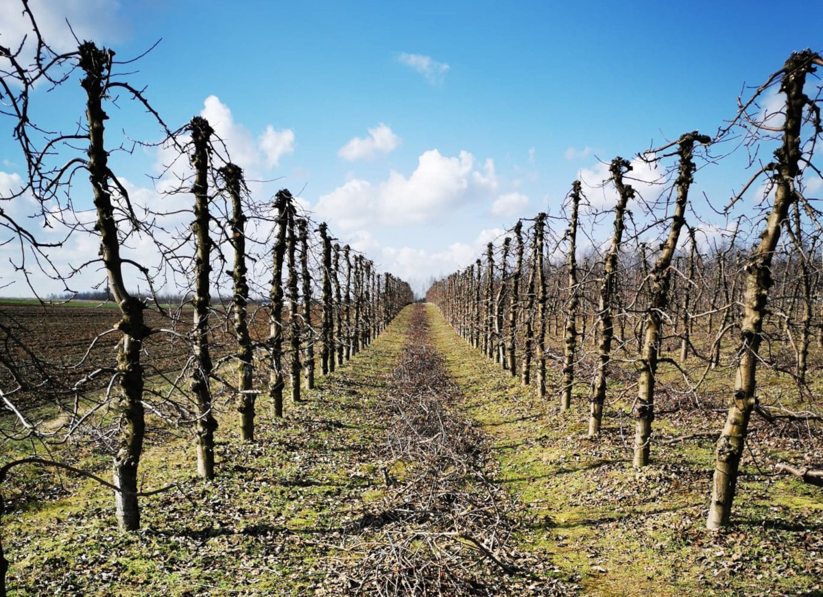 Wiosna zbliża się dużymi krokami 