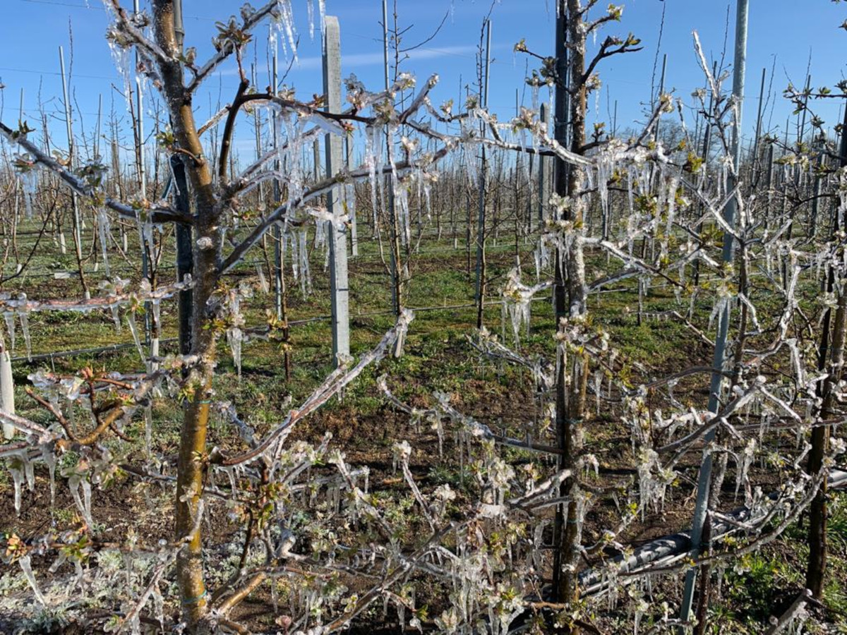 Duże spadki temperatury w Europie, nawet -16 stopni