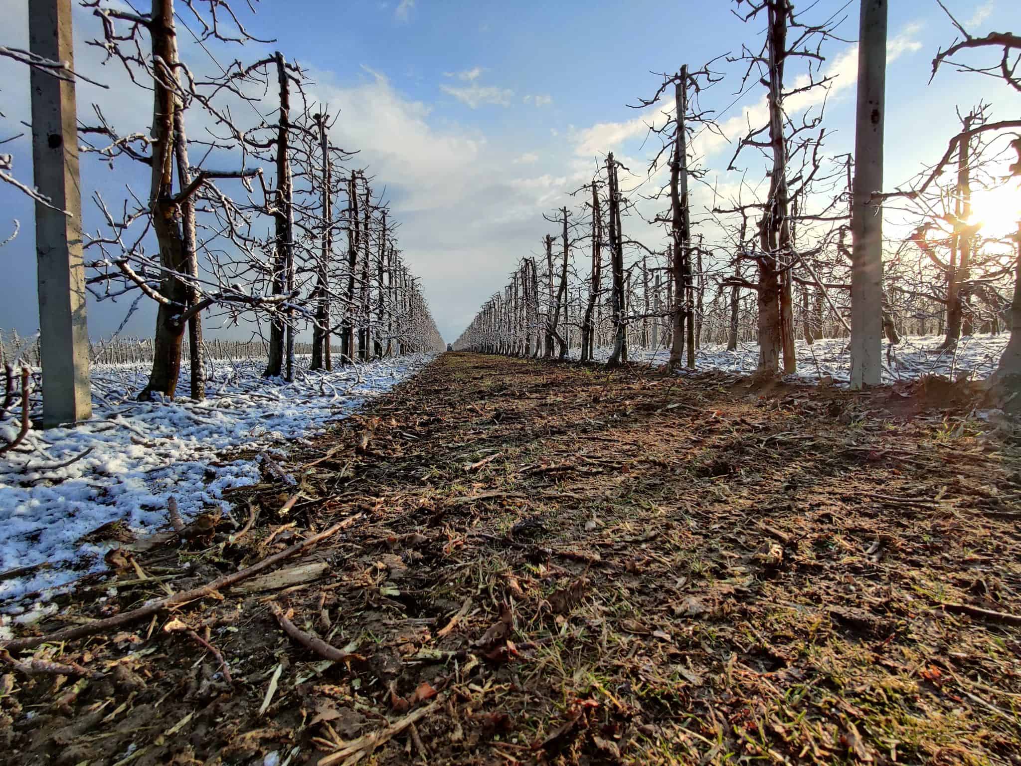 Nadchodzi stopniowe ocieplenie