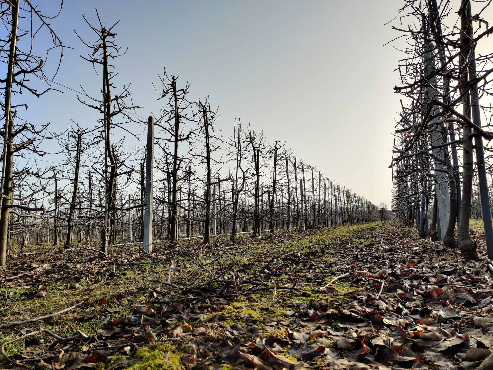 Rekord temperatury dla lutego pobity!