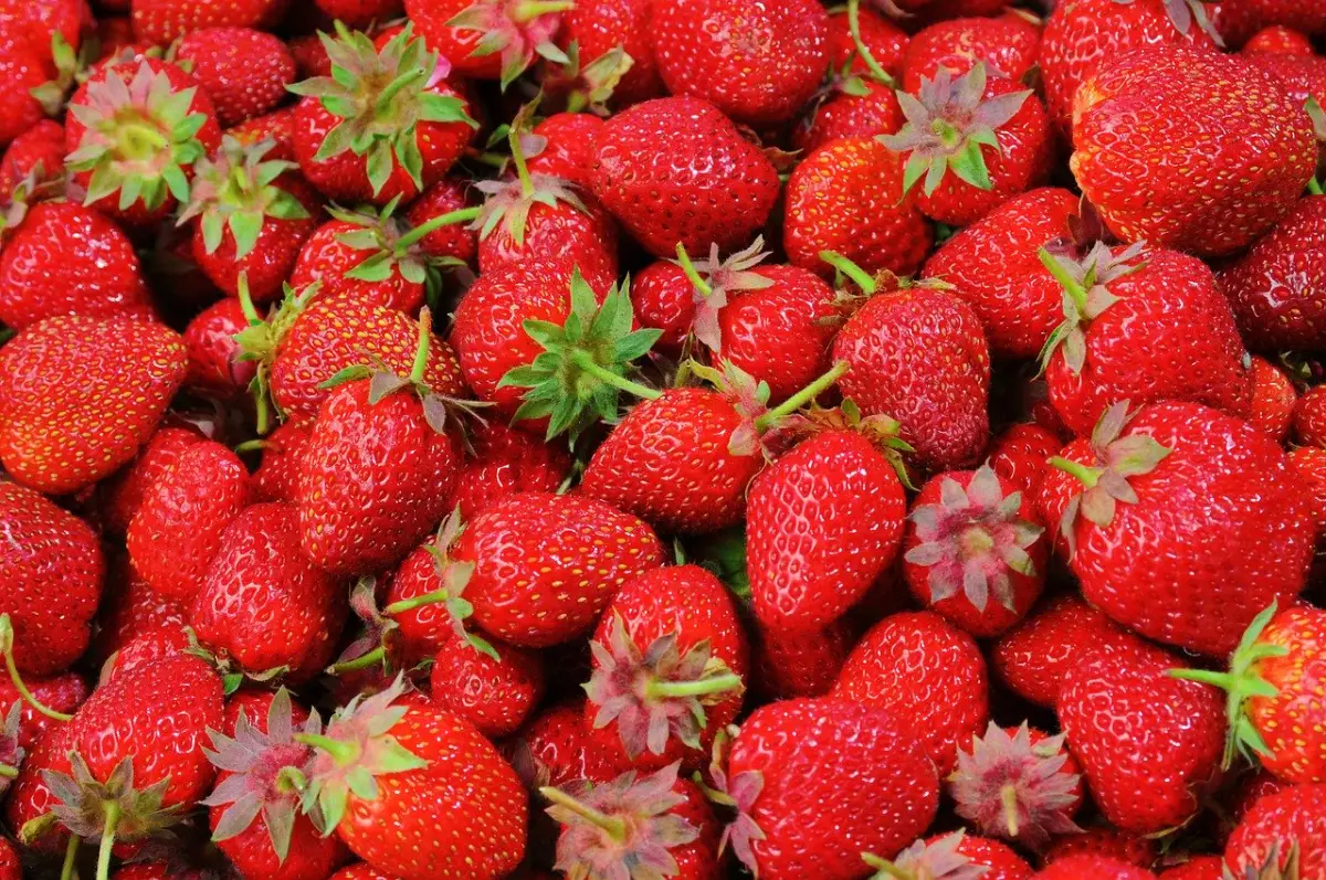 Podejrzenie zmowy cenowej przy skupie truskawek i wiśni