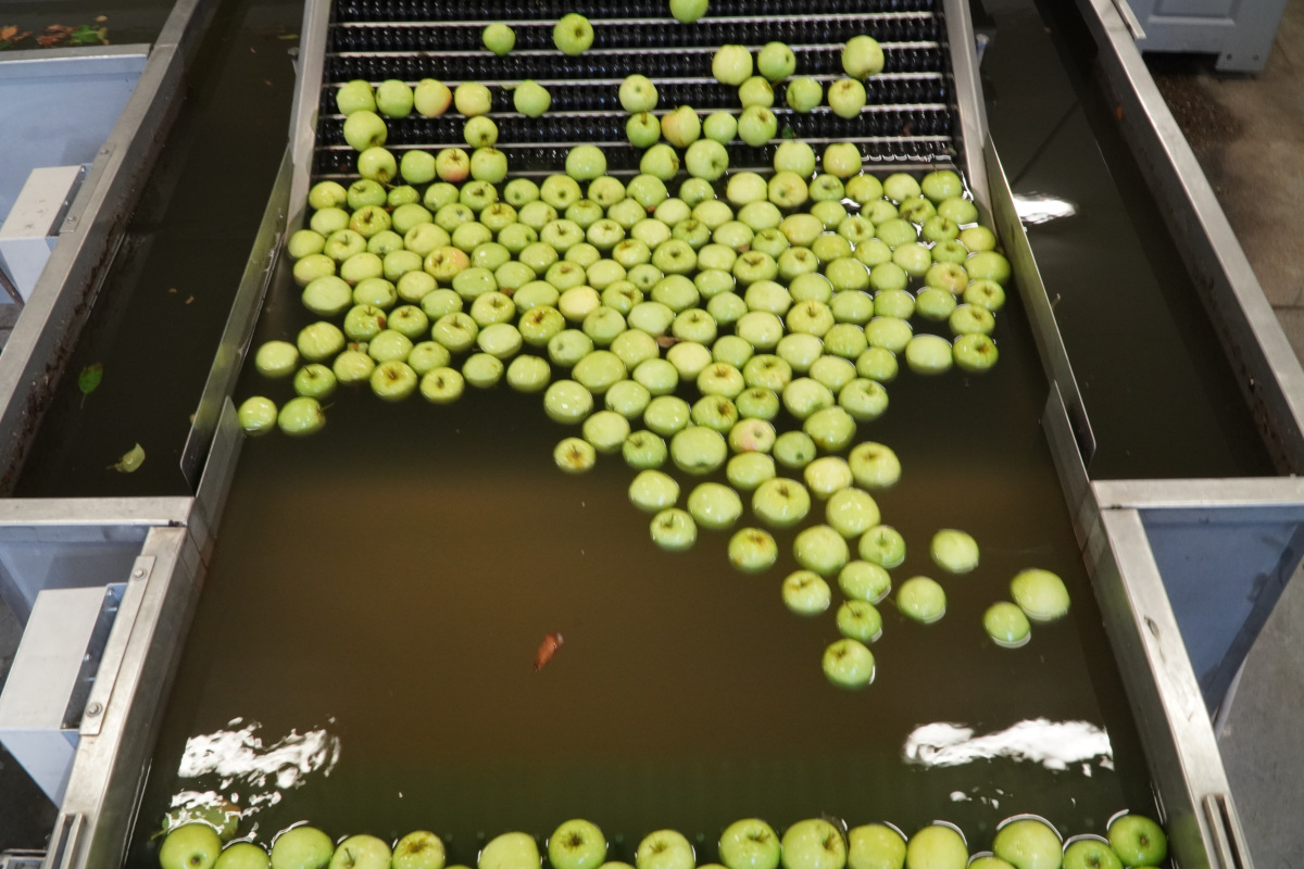 Aktualne ceny jabłek deserowych w grupach producenckich [08.03.2021]