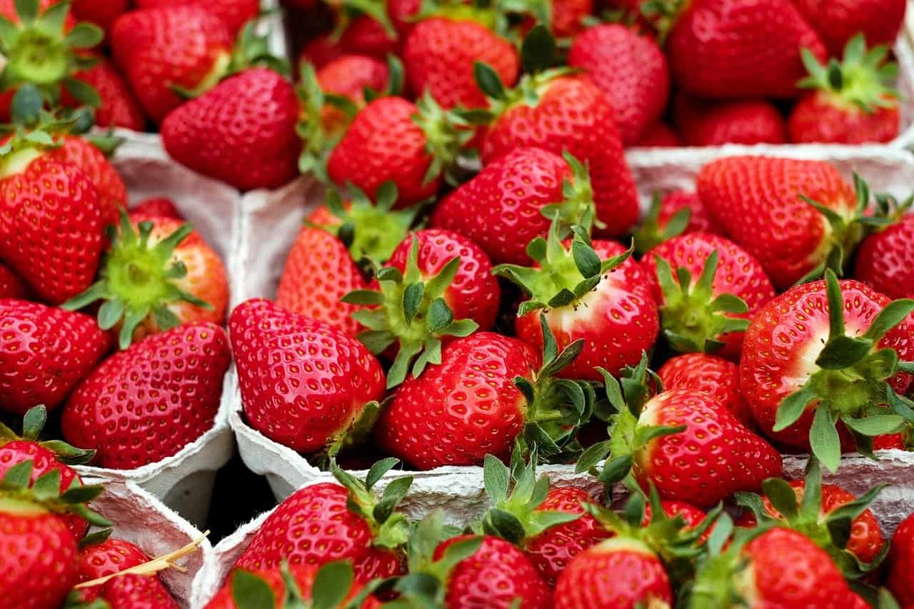 Huelva: produkcja truskawek spadła o połowę