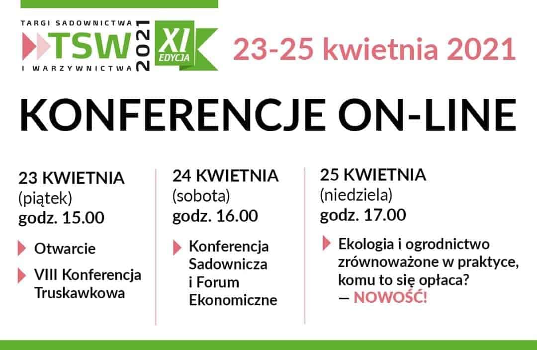 Konferencje TSW 2021 online 