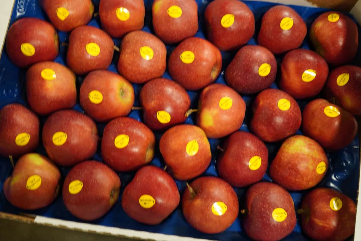 W kleszczach polityki handlowej UE