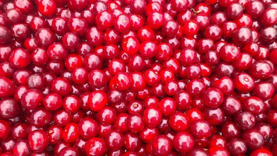 Mniejszy eksport mrożonych owoców w lockdownie i spadek produkcji 