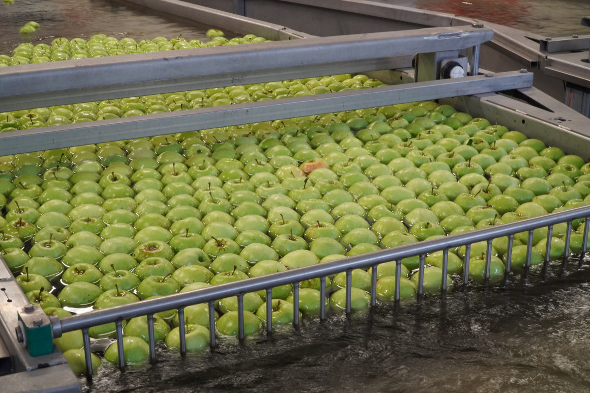 Zarząd grupy producenckiej Fruvitaland z zarzutami prokuratorskimi