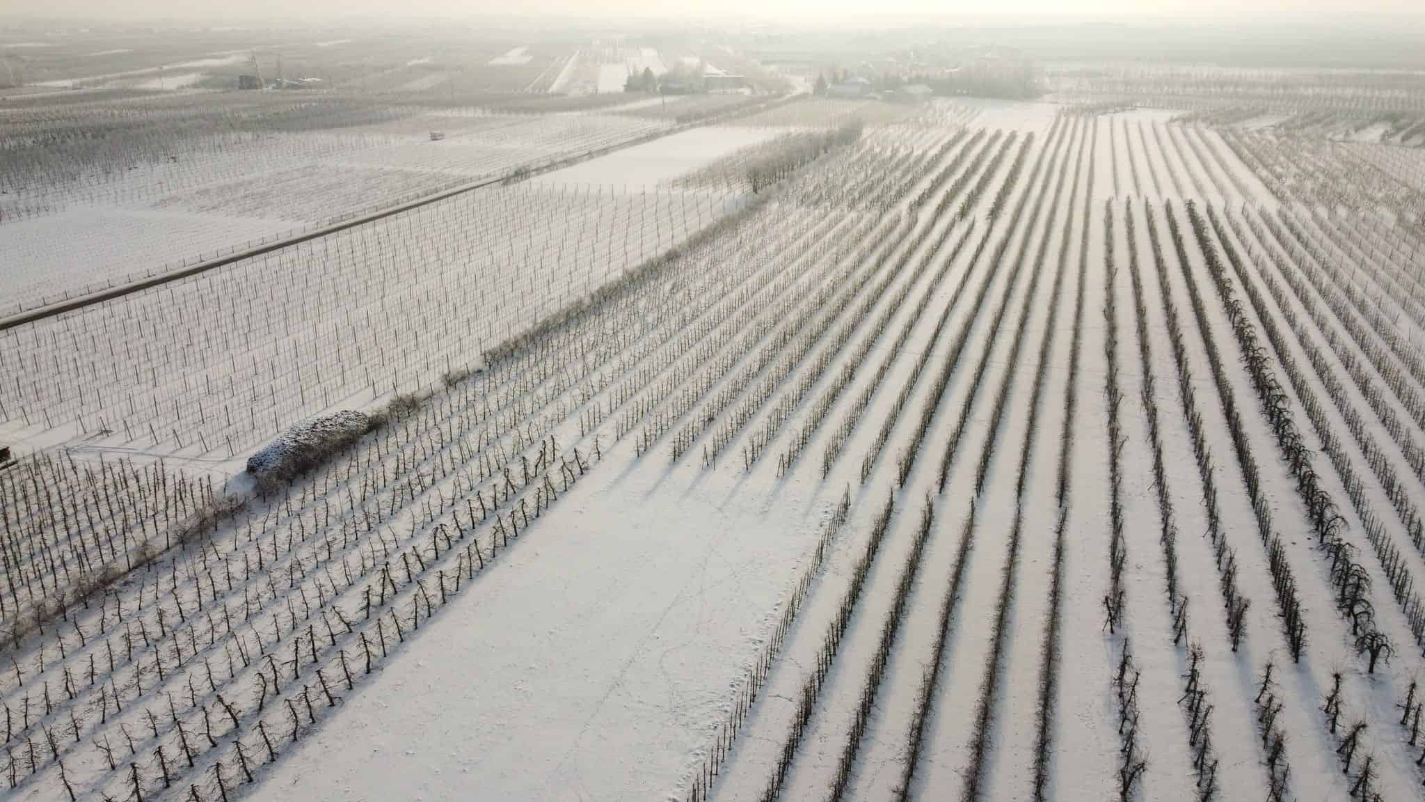 Czy czeka nas zima stulecia?