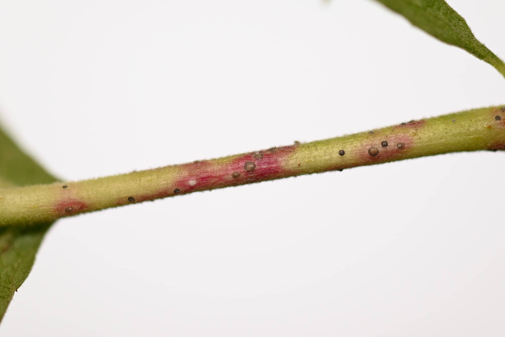 353007076 743105167611182 6392725680707044805 n