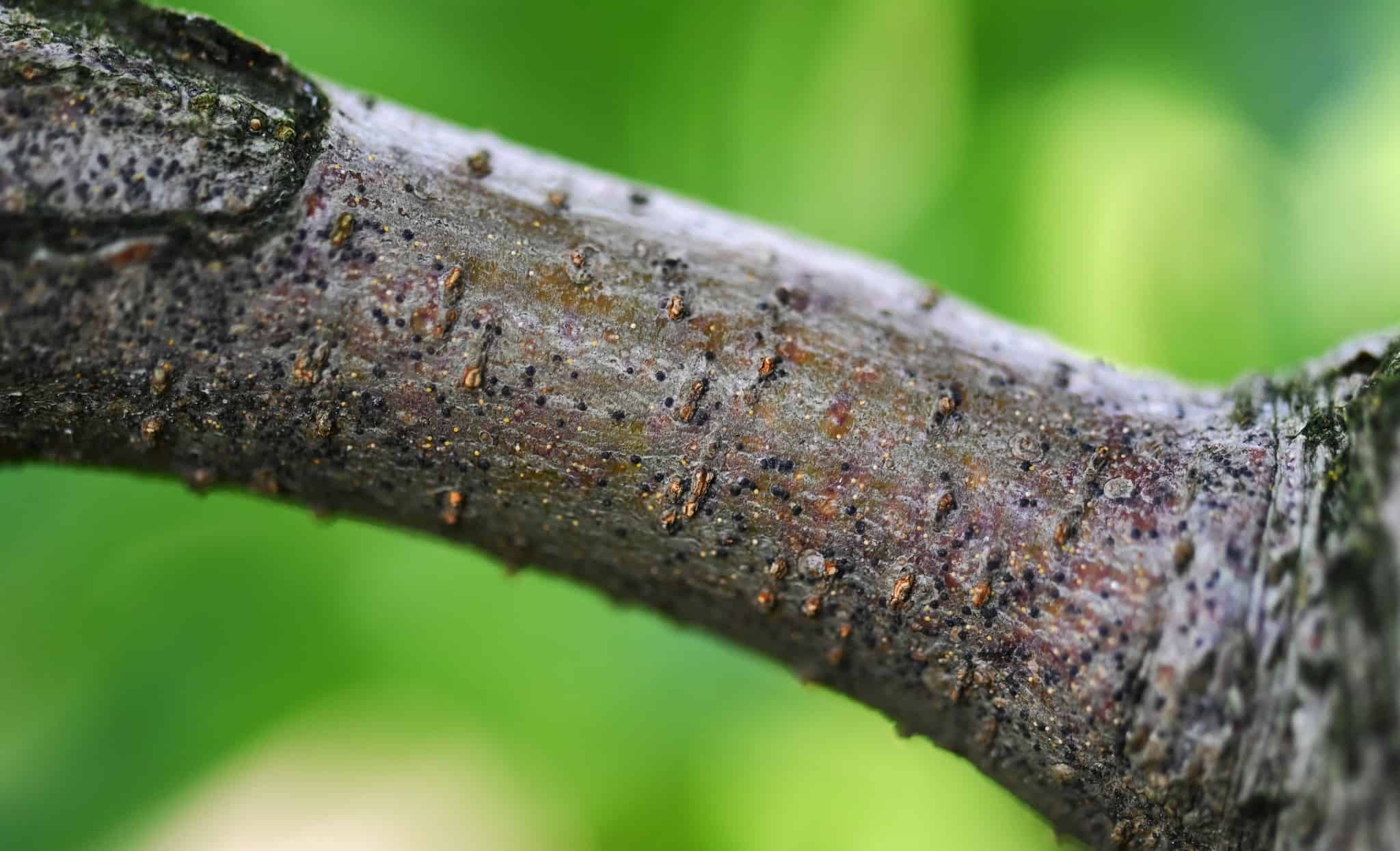 353023274 743105117611187 8835189729570616361 n