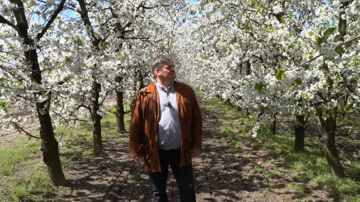 Popatrzmy na czereśnie Zbigniew Marek, 07.05.21