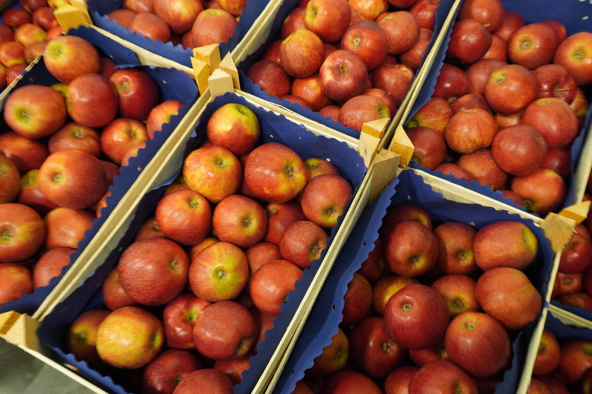 Aktualne ceny jabłek deserowych w grupach producenckich [05.05.2021]