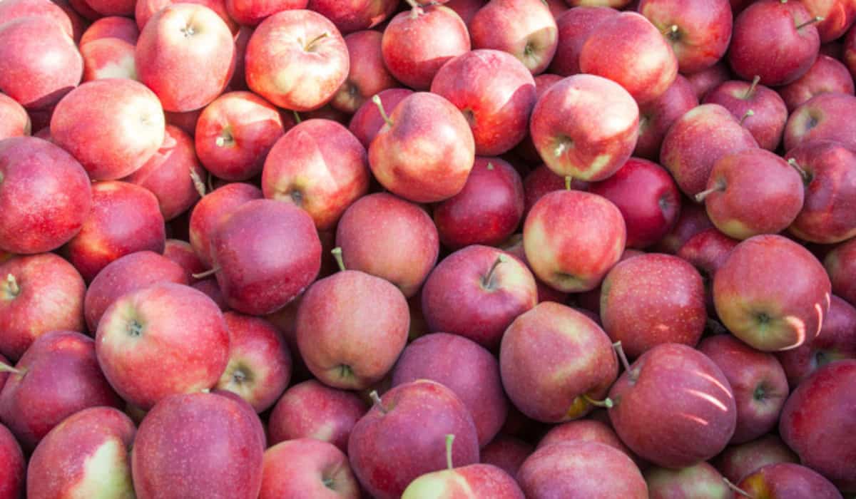 Chcesz sprzedawać? Zrób certyfikat