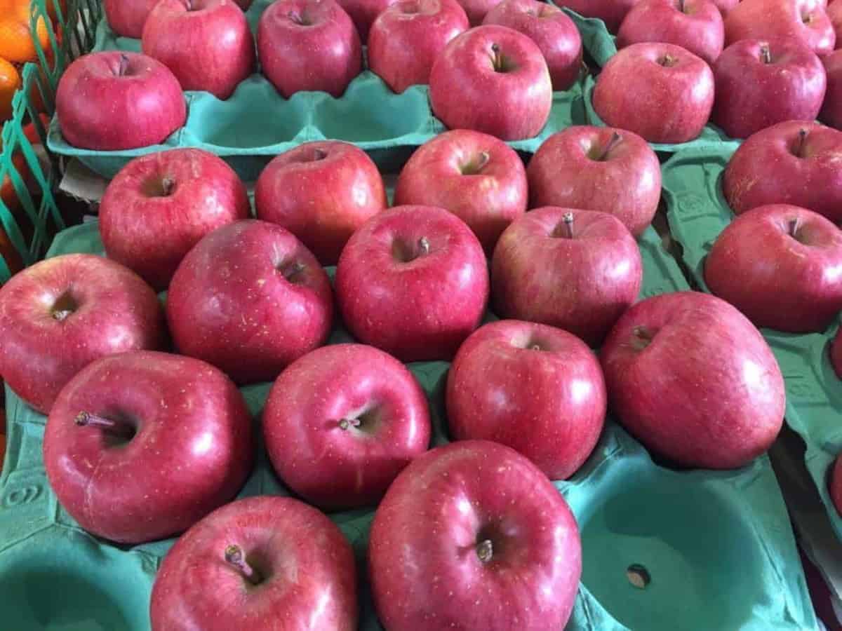 Rynek jabłek w Chinach: duże zapasy, niskie ceny, pesymistyczne nastroje