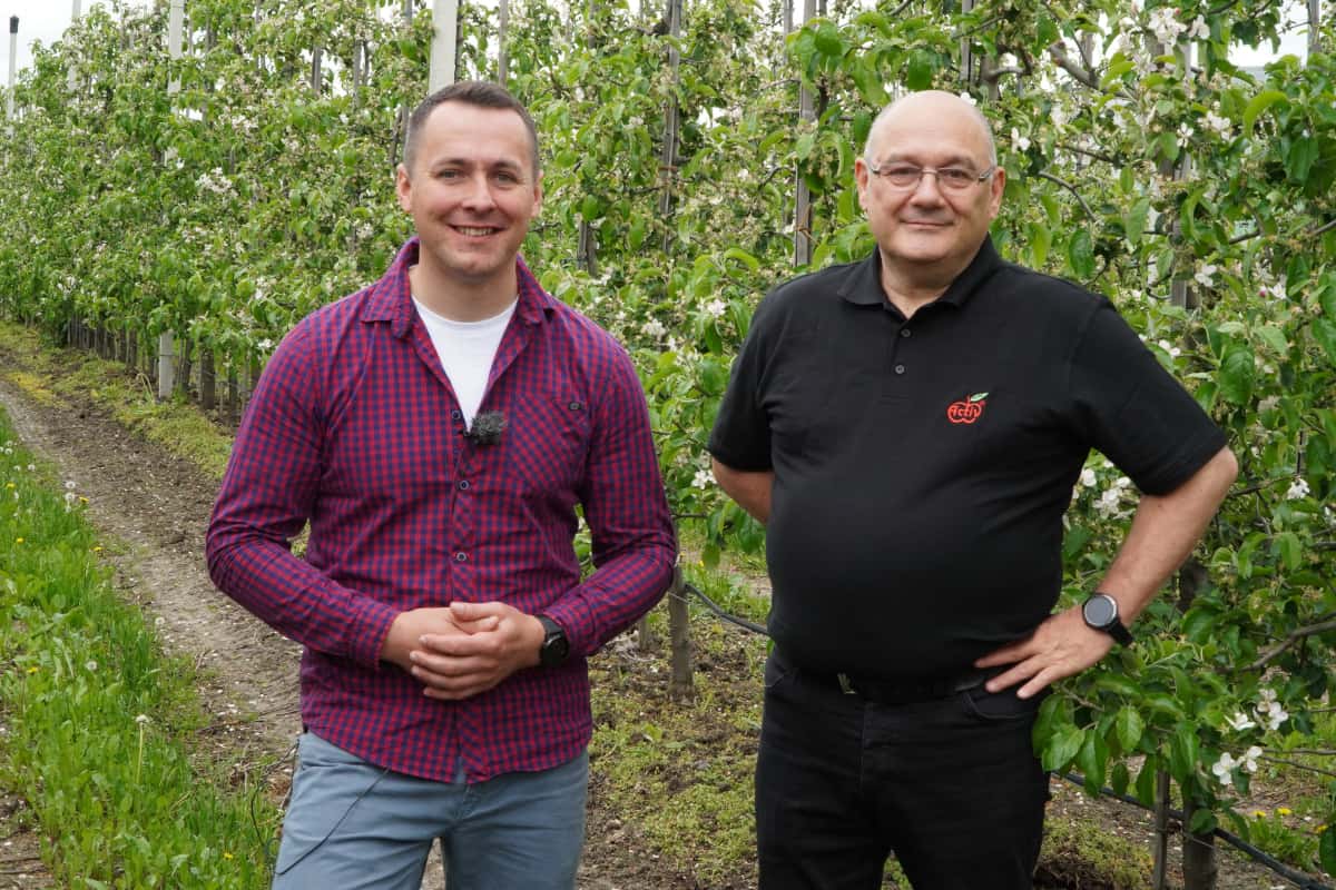 Wapń – pierwiastek niezbędny w produkcji owoców najwyższej jakości