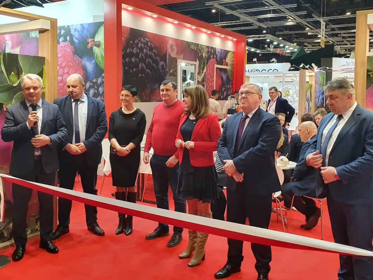 Maliszewski: Trzeba dostosować naszą ofertę do nowych realiów