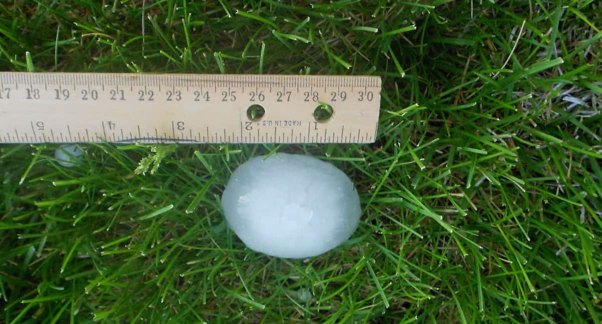 Grad spustoszył sady i plantacje 