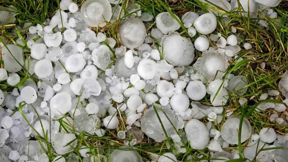 Alert pogodowy: Burze z gradem, silny wiatr i ulewne opady deszczu