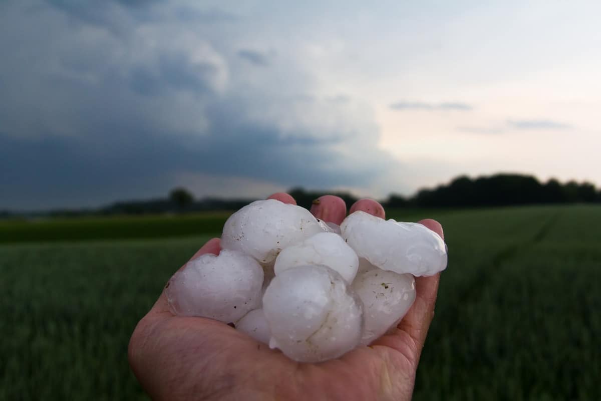 Powszechne niekoniecznie znaczy uczciwe
