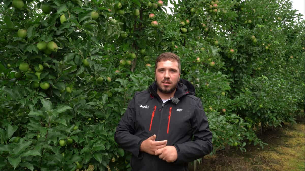 Komunikat sadowniczy Hubert Konarski, 04.08.21