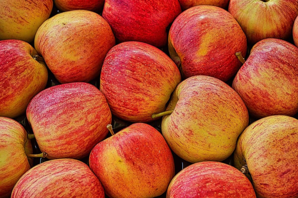 7 na 10 klientów chętnie dopłaci do żywności bio