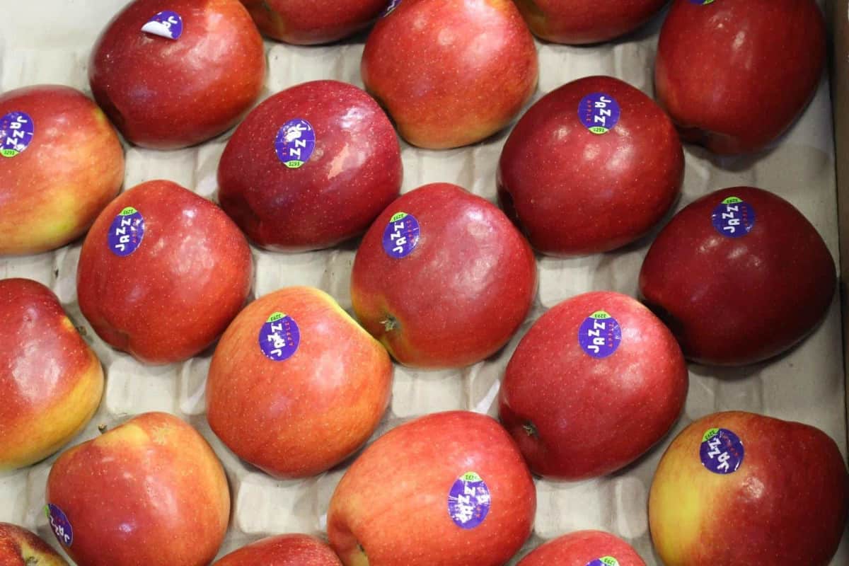 Jak to robią w Nowej Zelandii? 