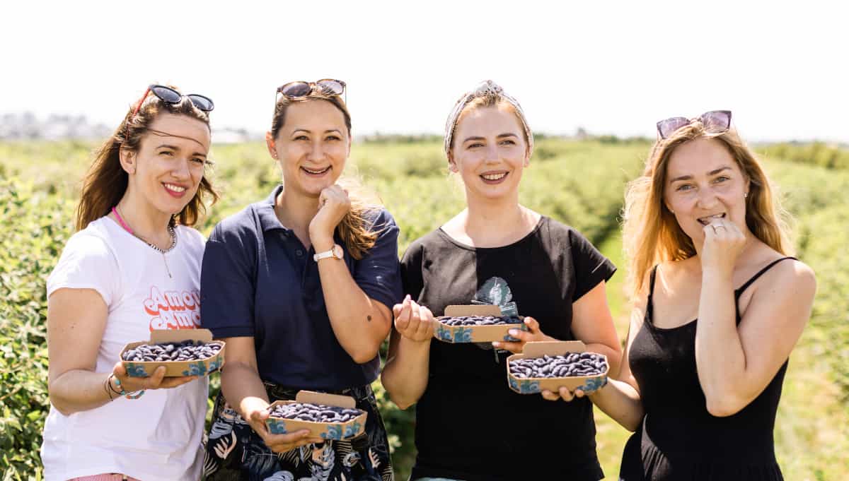 Plantatorzy łączą siły, by promować jagodę kamczacką