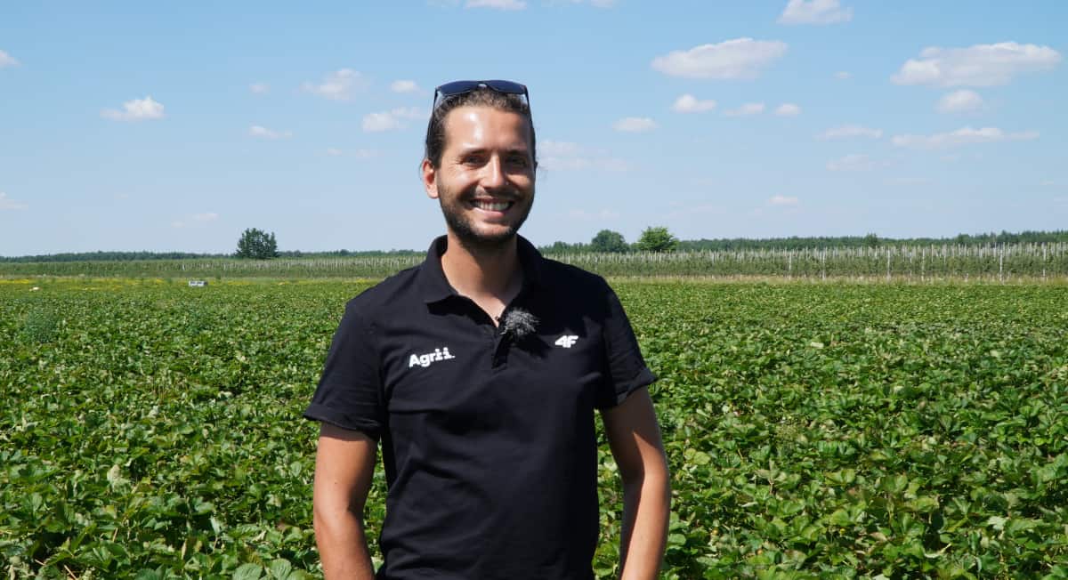 Komunikat dla truskawek, Michał Malicki, Agrii, 29.06.21