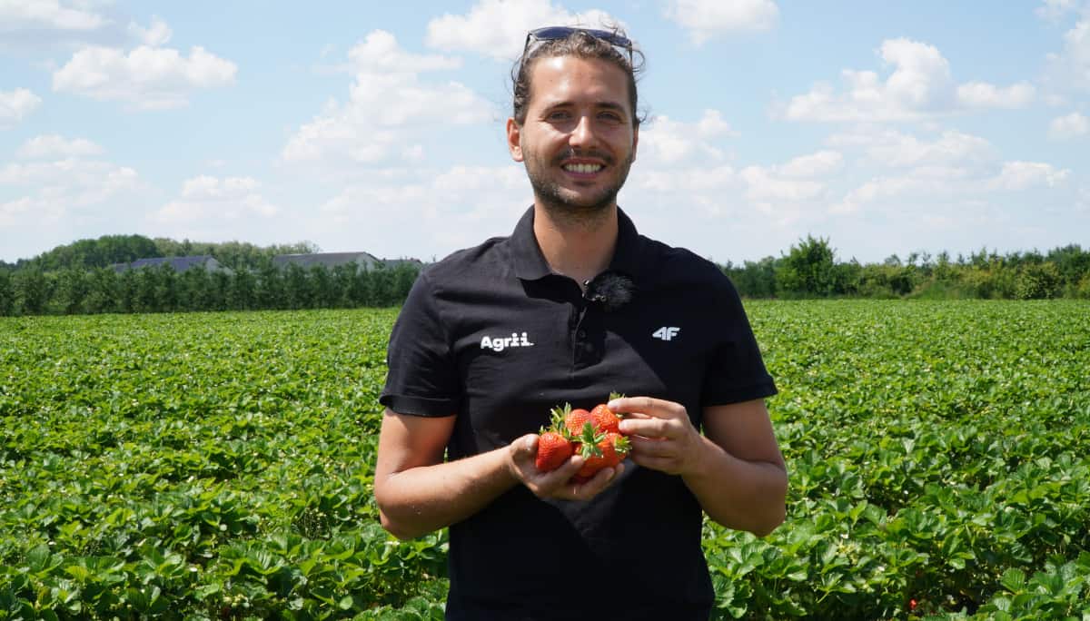 Komunikat dla truskawek, Michał Malicki, Agrii 10.06.21