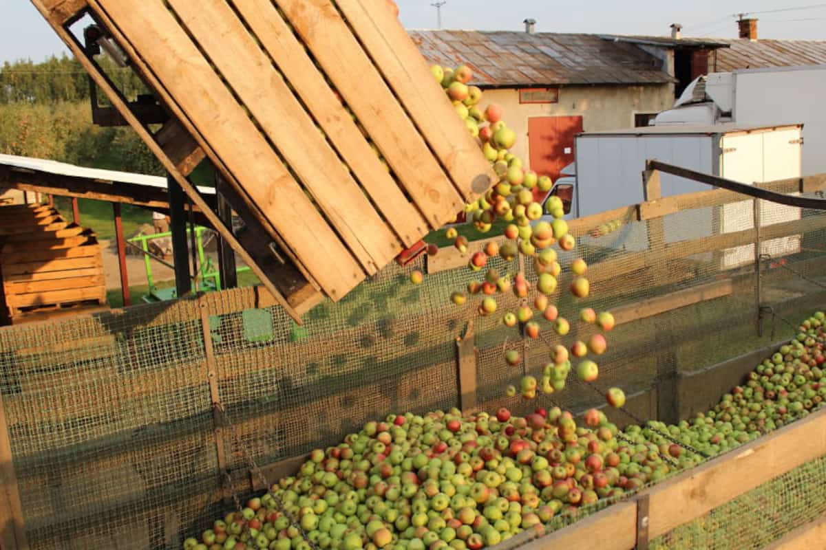 Młyny ministerstwa mielą bardzo wolno...