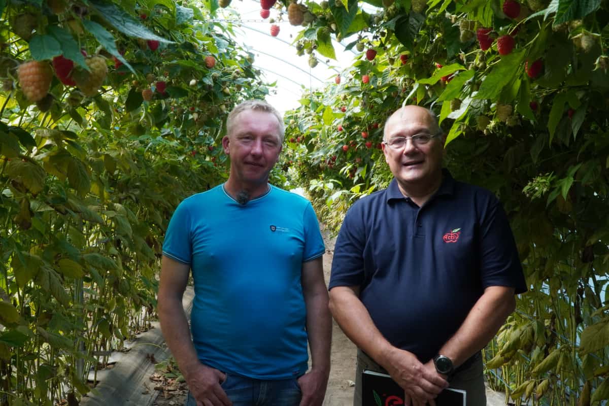 Rewolucja w zwalczaniu muszki plamoskrzydłej – naturalnie!