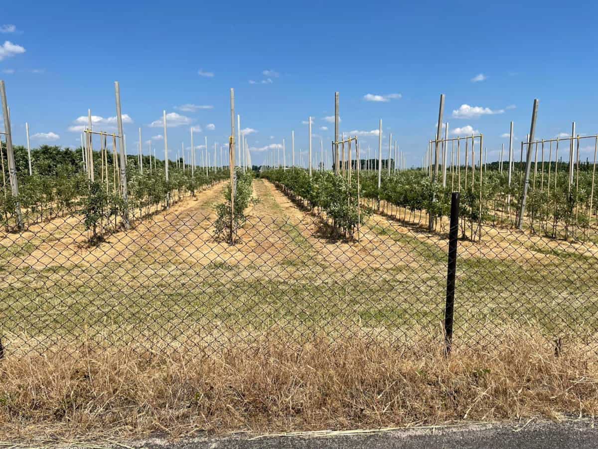 Bolesna prawda o nas samych