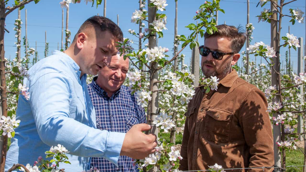 Po kwitnieniu jabłoni – czas na wapń