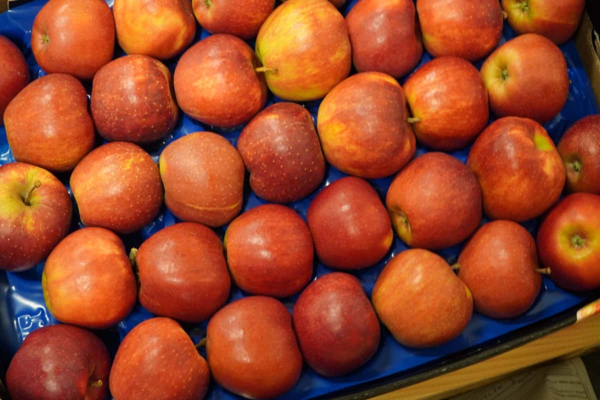 Nie muszę protestować