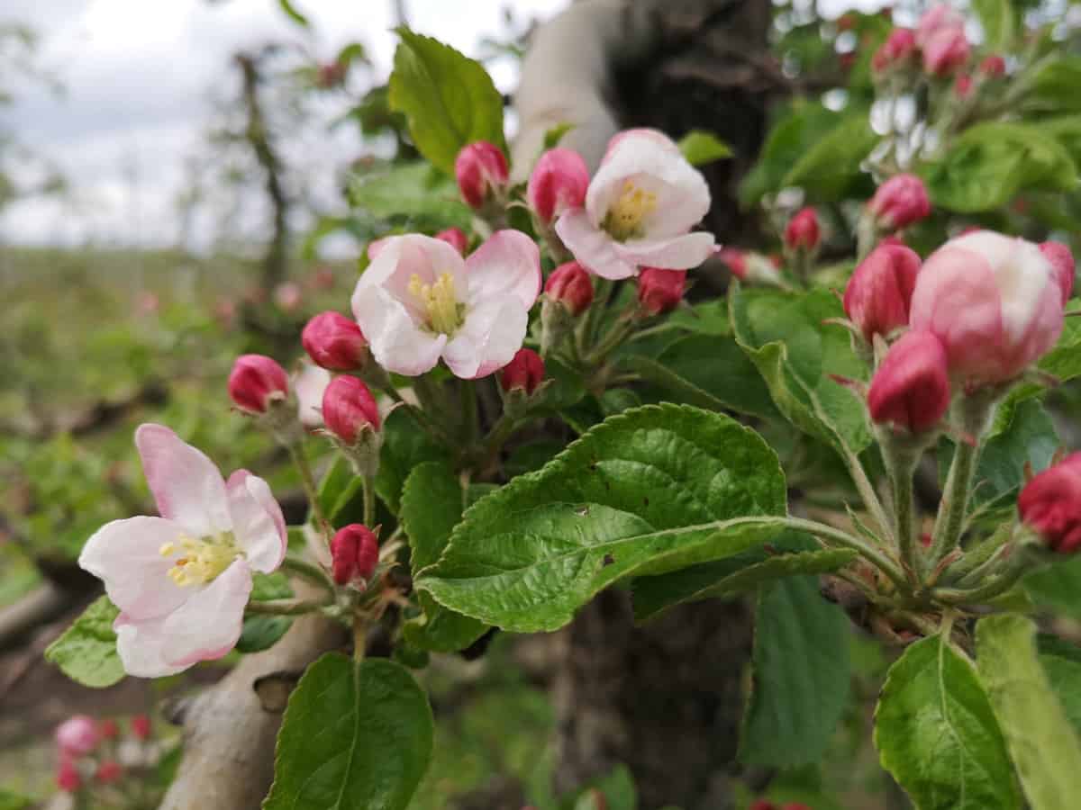 Przed nami długo wyczekiwane ocieplenie
