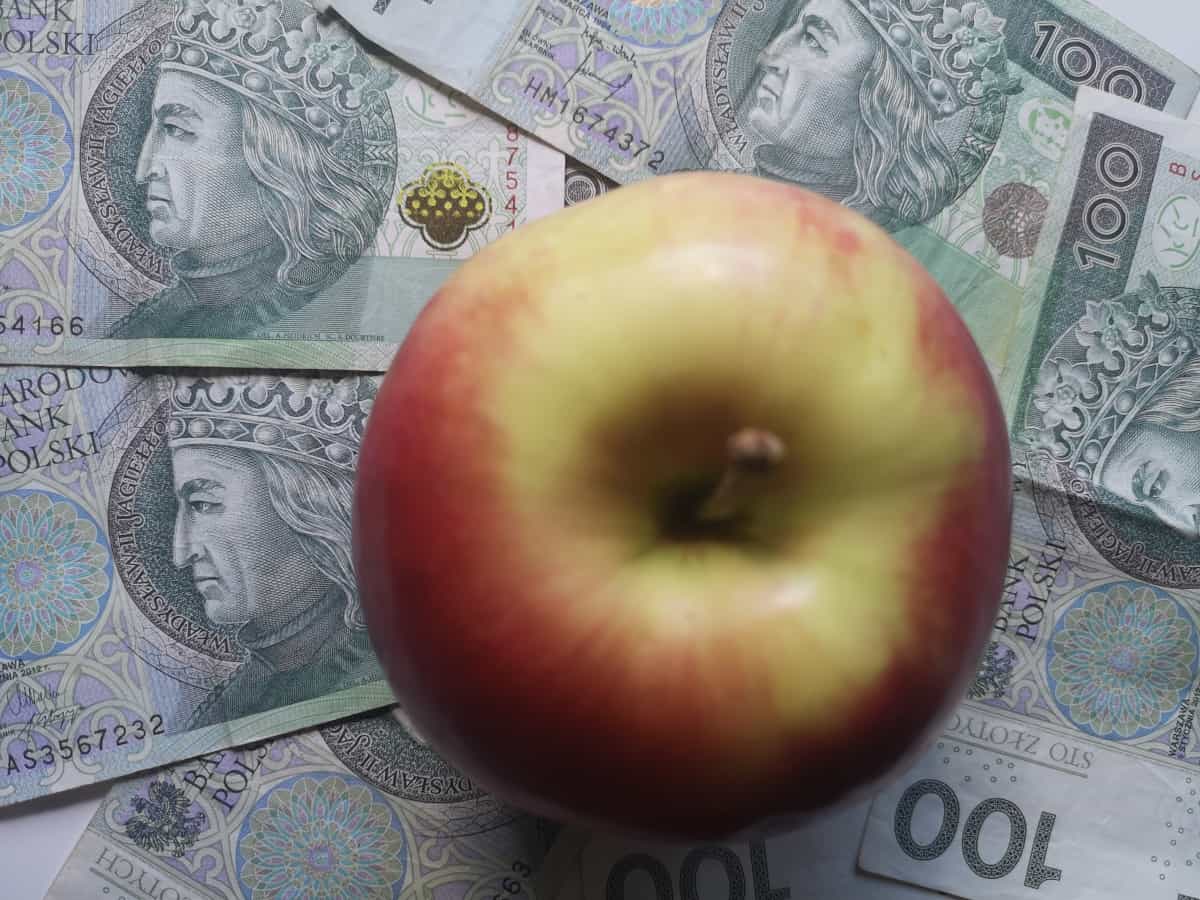 Sadownicy wciąż nie odzyskali pieniędzy 