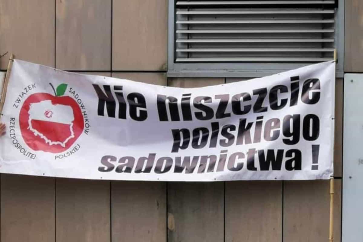 Polscy sadownicy mówią: STOP łobuzerce w handlu jabłkami! 