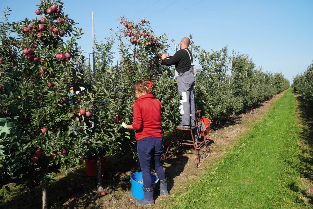 Aby nie zabrakło rąk do pracy 